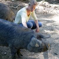 Ferme de las Laous