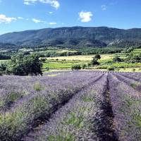 Marrenon - Vignobles en Luberon & Ventoux PNR Luberon