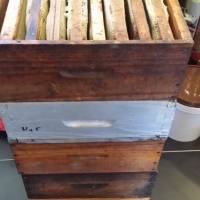 Abeilles et Miels de la Sainte-Baume