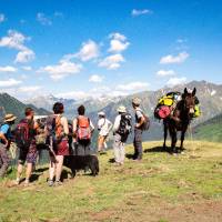 Les Mules de Soula en montagne