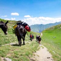 Les Mules de Soula en montagne