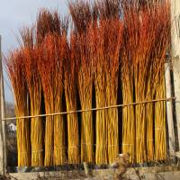 Osier©PNR Loire-Anjou-Touraine