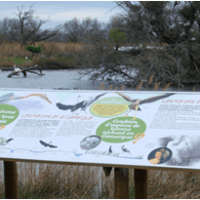 Parc ornithologique de Pont de Gau - panneau d'interprétation