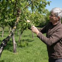 © Karine GAMBART SPIRKEL / Parc naturel régional du Morvan