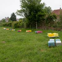 © Karine GAMBART SPIRKEL / Parc naturel régional du Morvan