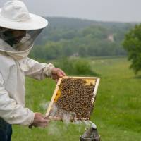 © Karine GAMBART SPIRKEL / Parc naturel régional du Morvan