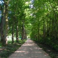 domainedejoreau©pnrloireanjoutouraine