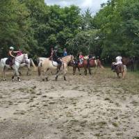 les poneys d'abord