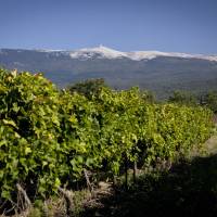 TerraVentoux
