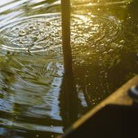 Promenade en barque avec une pigouille dans le Marais poitevin