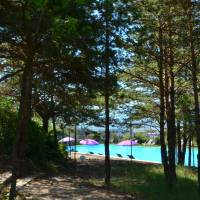 Camping Les Hauts de Rosans - pinède et piscine