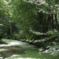 Balade découverte en barque proposée par la Maison du Marais poitevin