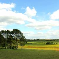 Puys du Chinonais Touraine Terre d'Histoire©PNR Loire Anjou Touraine