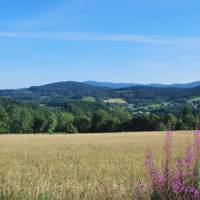  Vu depuis le Moulin de la Fortie - Champ et coline - Parc naturel régional Livradois-Forez