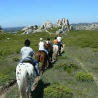 Balade à cheval dans les Alpilles avec le Petit Roman