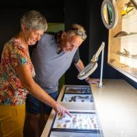 Visiteurs de l'espace muséographique de la réserve des Huttes