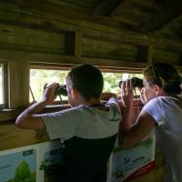 Personnes observant les oiseaux avec des jumelles dans un des observatoires de la Réserve des Huttes