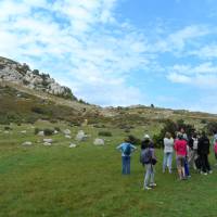 Bureau des guides naturalistes - sortie dans les Alpilles