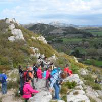 Bureau des guides naturalistes - sortie dans les Alpilles