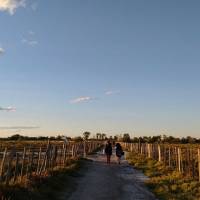 Musée de la Camargue - sentier découverte