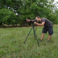 Stéphane Corbeil, photographe nature amateur