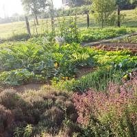 Jardin Les Mout'ânes Saint-Hilaire-sur-Helpe