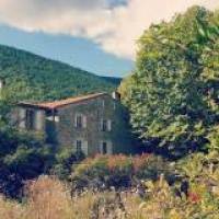 @Gîte du Grand Cèdre - 2