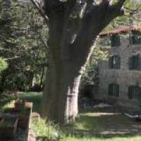 @Gîte du Grand Cèdre - 5