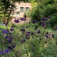 @Gîte du Grand Cèdre - 6
