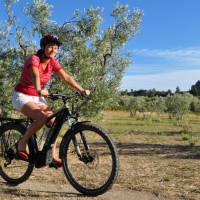 Le Panorama des Alpilles - location vélo