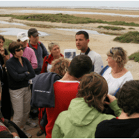 Bureau des guides naturalistes - visite en Camargue
