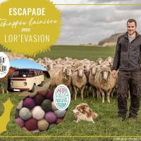 Escapade "Echappée lainière"