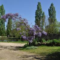 Jardin du gîte de Sainte Mégrine