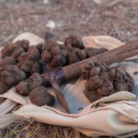 Truffes du Ventoux et piolet