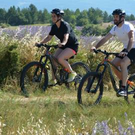 VTT pays de Sault - lavandes
