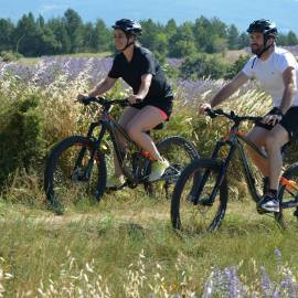 VTT pays de Sault - lavandes