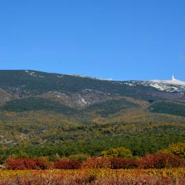 Ventoux automne - Flassan(84)