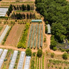 Parcelles en maraichage bio 