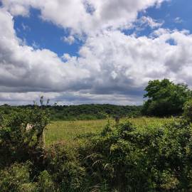 Paysage dans le PNR de la Brenne 