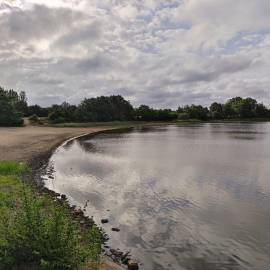 Paysage dans le PNR de la Brenne Juin 2022