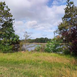 Paysage dans le PNR de la Brenne Juin 2022