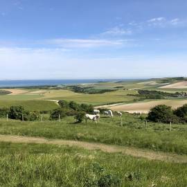 Paysage du PNR Caps et Marais d'Opale