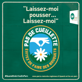 Pas de cueillette - Visuel issu de la campagne "Quand on arrive en Parc"