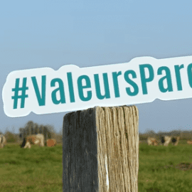 Vidéo la marque Valeurs Parc naturel régional dans le Marais poitevin