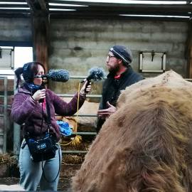 Podcast "L'écho de nos valeurs" en Aubrac : enregistrement dans l'étable de Ludovic