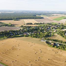 Champagne crayeuse en Forêt d'Orient