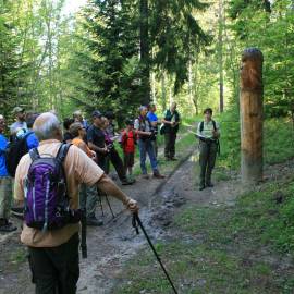 © PNR Massif des Bauges