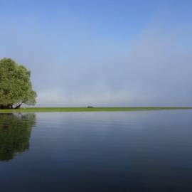 Brume matinale sur le Lac d'Orient