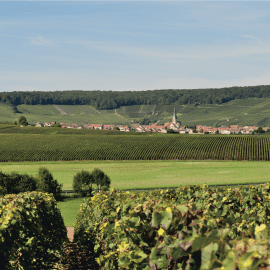 Chamery © PNR Montagne de Reims