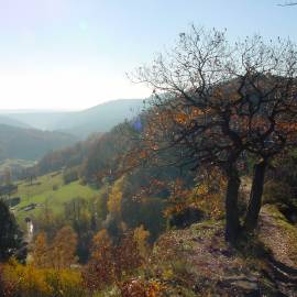 Vue sur Windstein ©‎ PNR Vosges du Nord